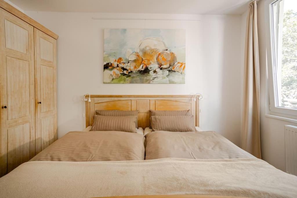 Tolles Apartment In Idyllischer Ruhiger Lage 布伦瑞克 外观 照片